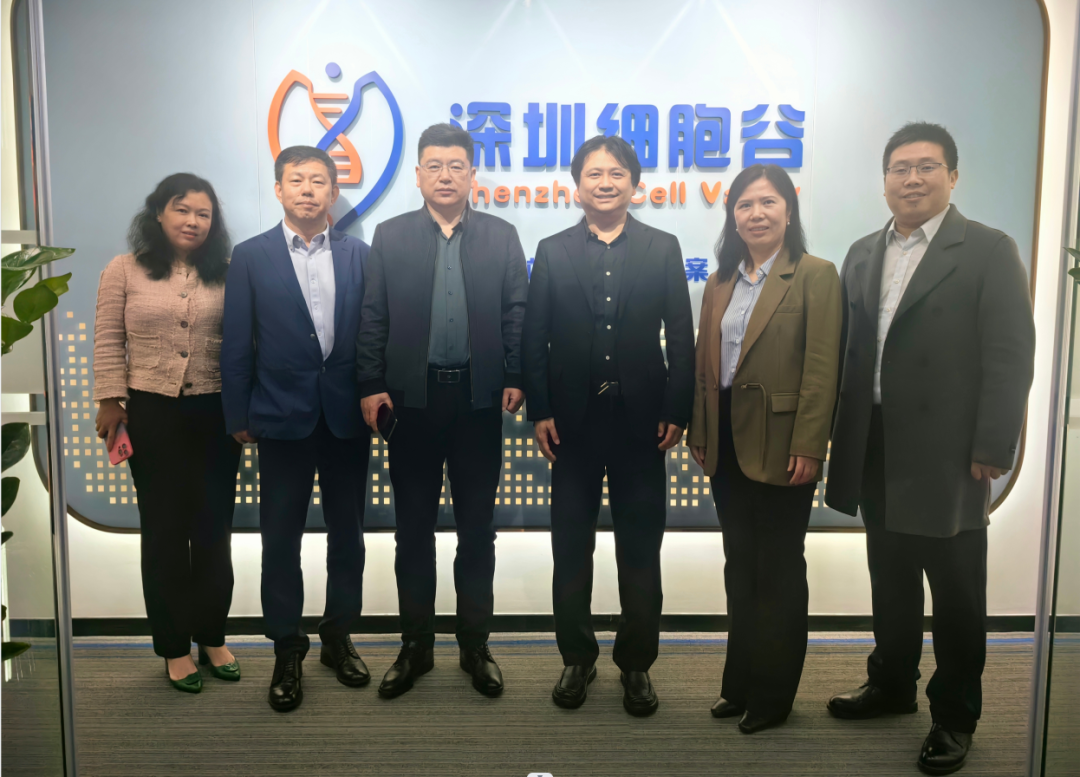 河南科技大學(xué)第二附屬醫(yī)院院長邢建武、副院長王慧睿一行蒞臨深圳細(xì)胞谷交流訪問